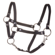 Halster zwart voor Hobby Horse van LarDen van zwarte band met zilverkleurige ringen, klinknagels en twee musketonhaken
