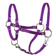 Licol violet de LarDen pour Hobby Horse en sangle violette, avec anneaux argentés, rivets et deux mousquetons
