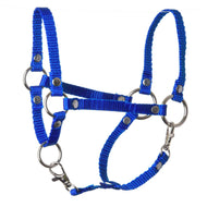 Halster blauw voor Hobby Horse van LarDen van koningsblauwe band met zilverkleurige ringen, klinknagels en twee musketonhaken