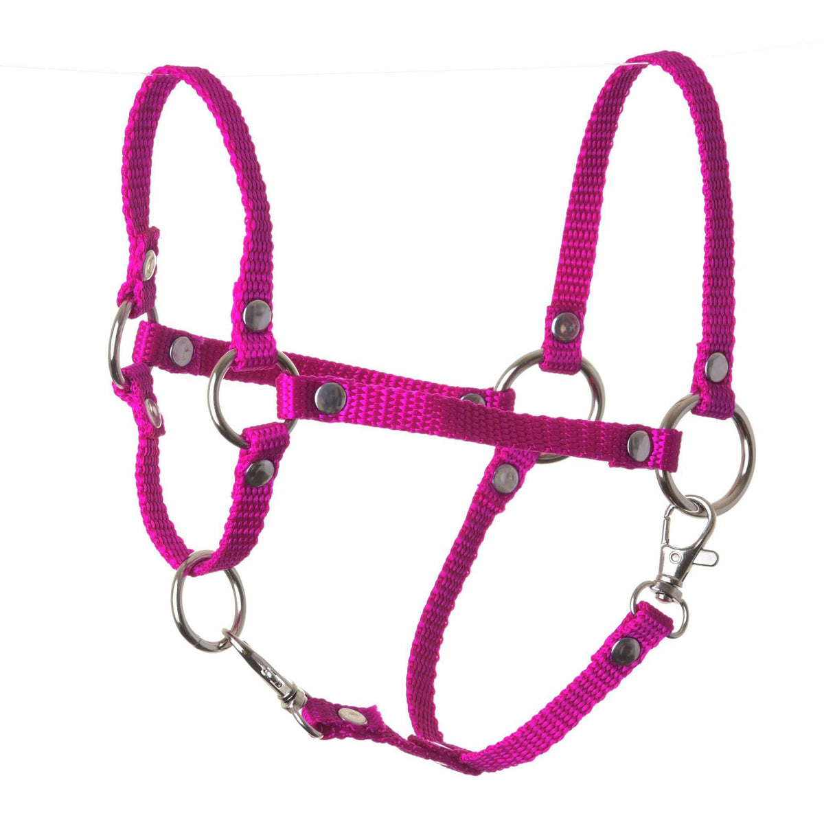 Licol rose de LarDen pour Hobby Horse en sangle rose vif, avec anneaux argentés, rivets et deux mousquetons