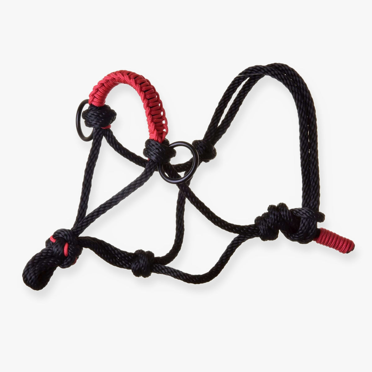 Hobby Horse Rope halter Spark by LarDen in black rope with a red braided noseband and black rings